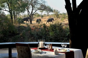 Imbali Safari Lodge view